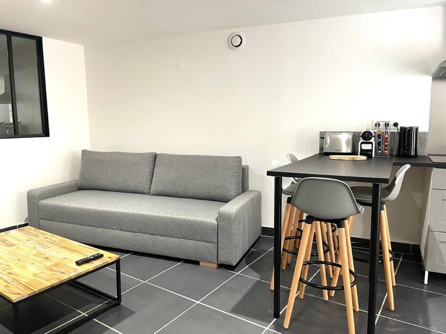 Apartament Grand T2 Rue Simeon Gouet Vienne  Zewnętrze zdjęcie
